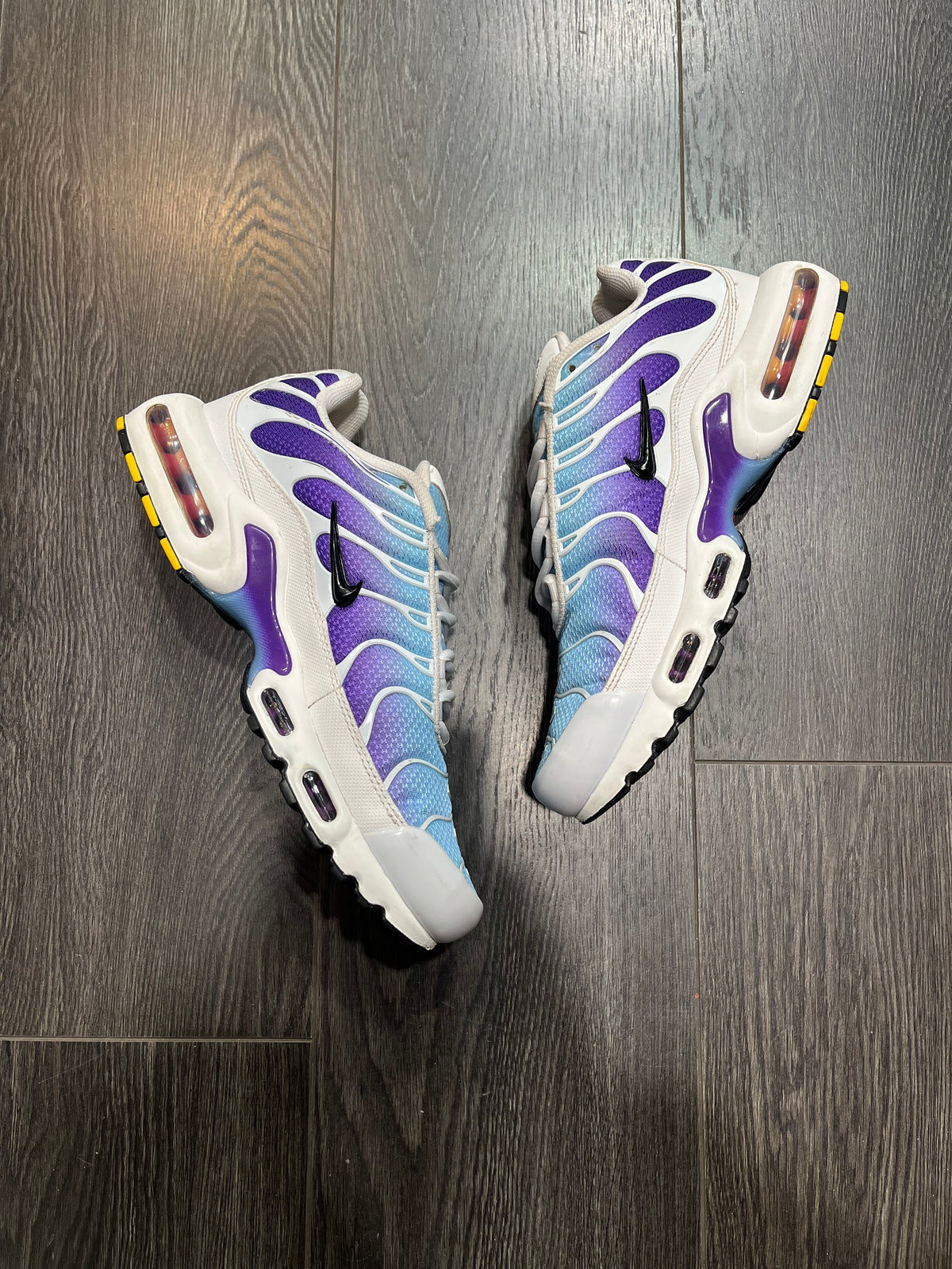 Nike Air Max Plus Gradient Blue