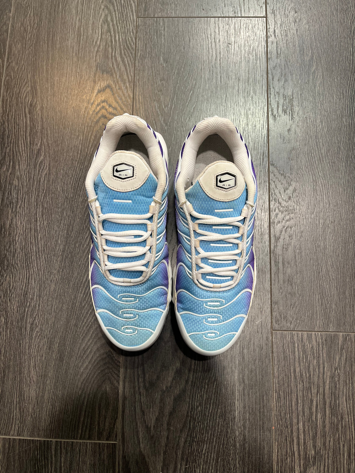Nike Air Max Plus Gradient Blue