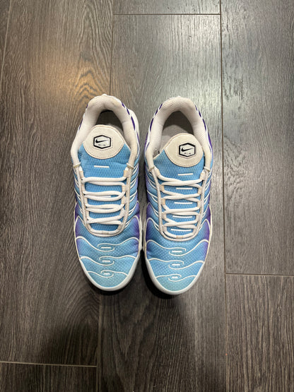 Nike Air Max Plus Gradient Blue