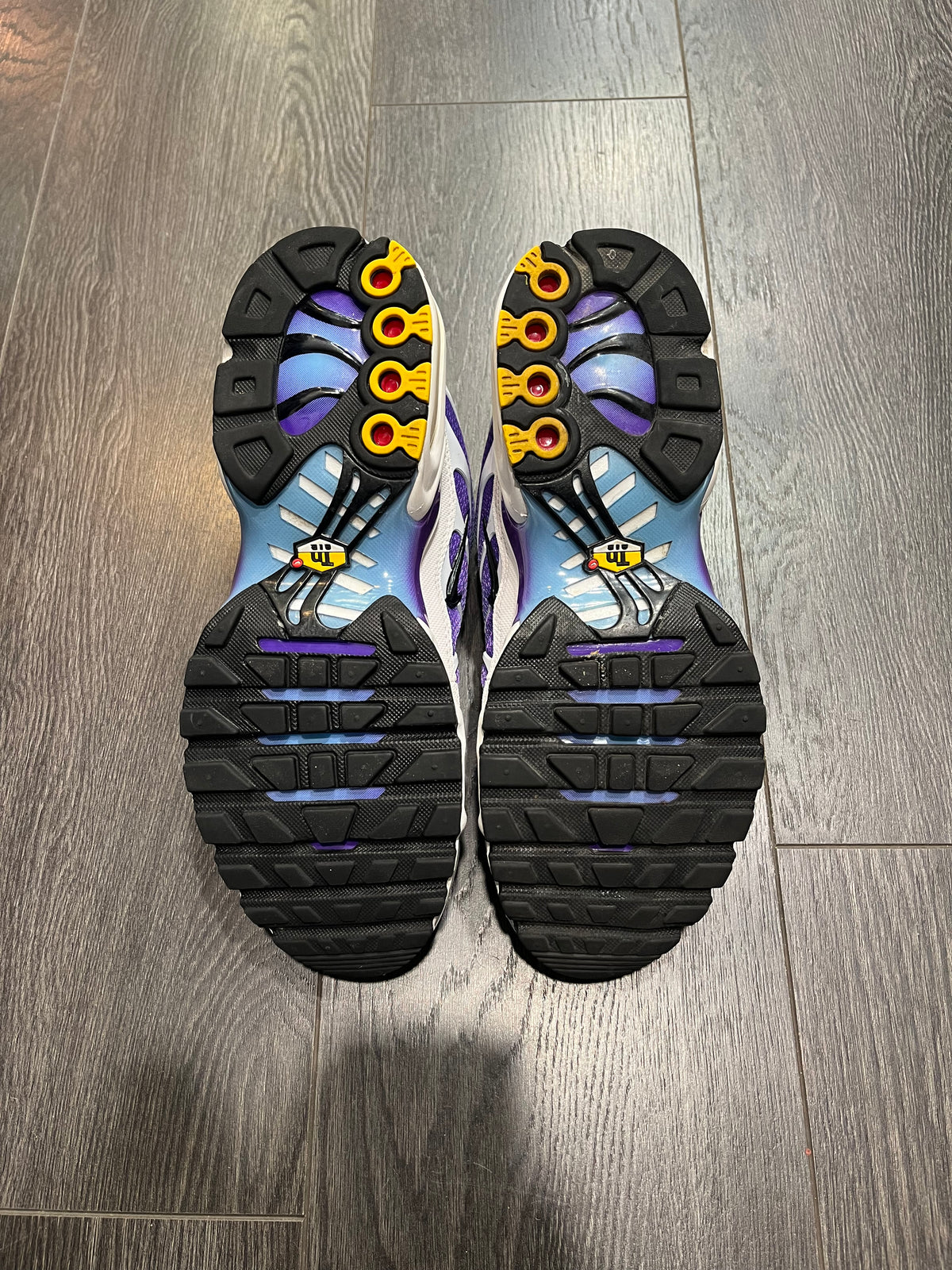 Nike Air Max Plus Gradient Blue