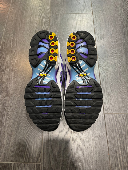 Nike Air Max Plus Gradient Blue