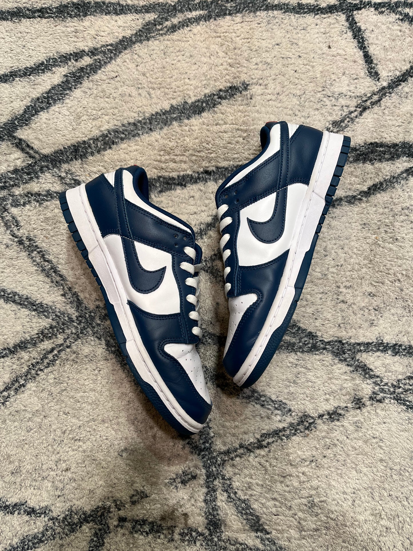 Nike Dunk Low Valerian Blue