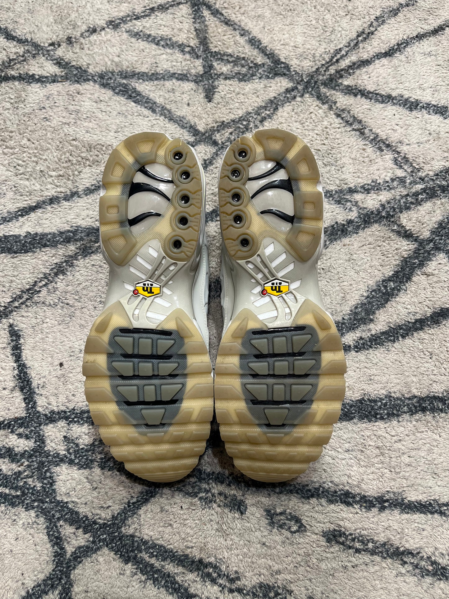 Nike Air Max Plus ACW Platinum Tint