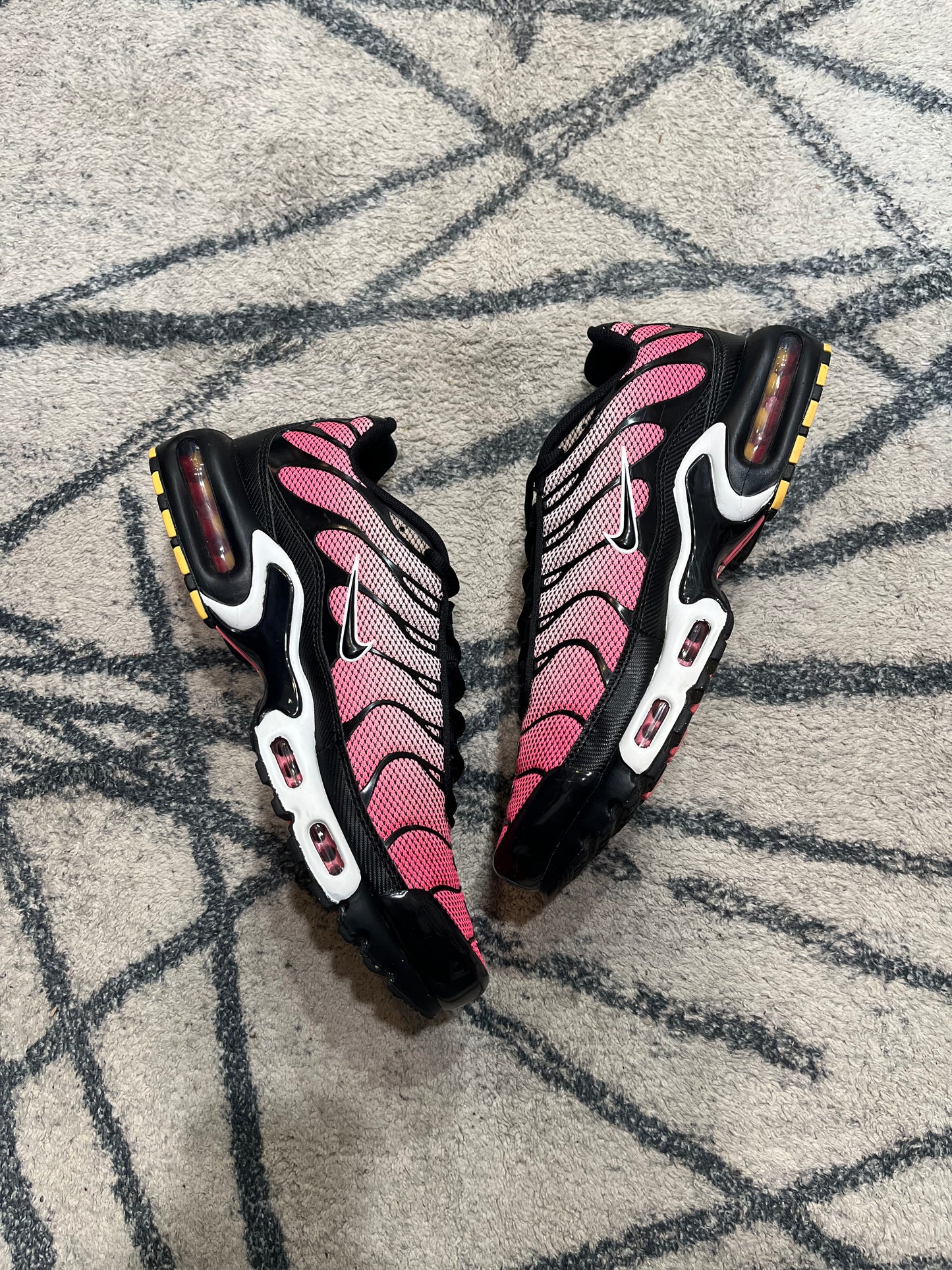 Nike Air Max Plus All Day
