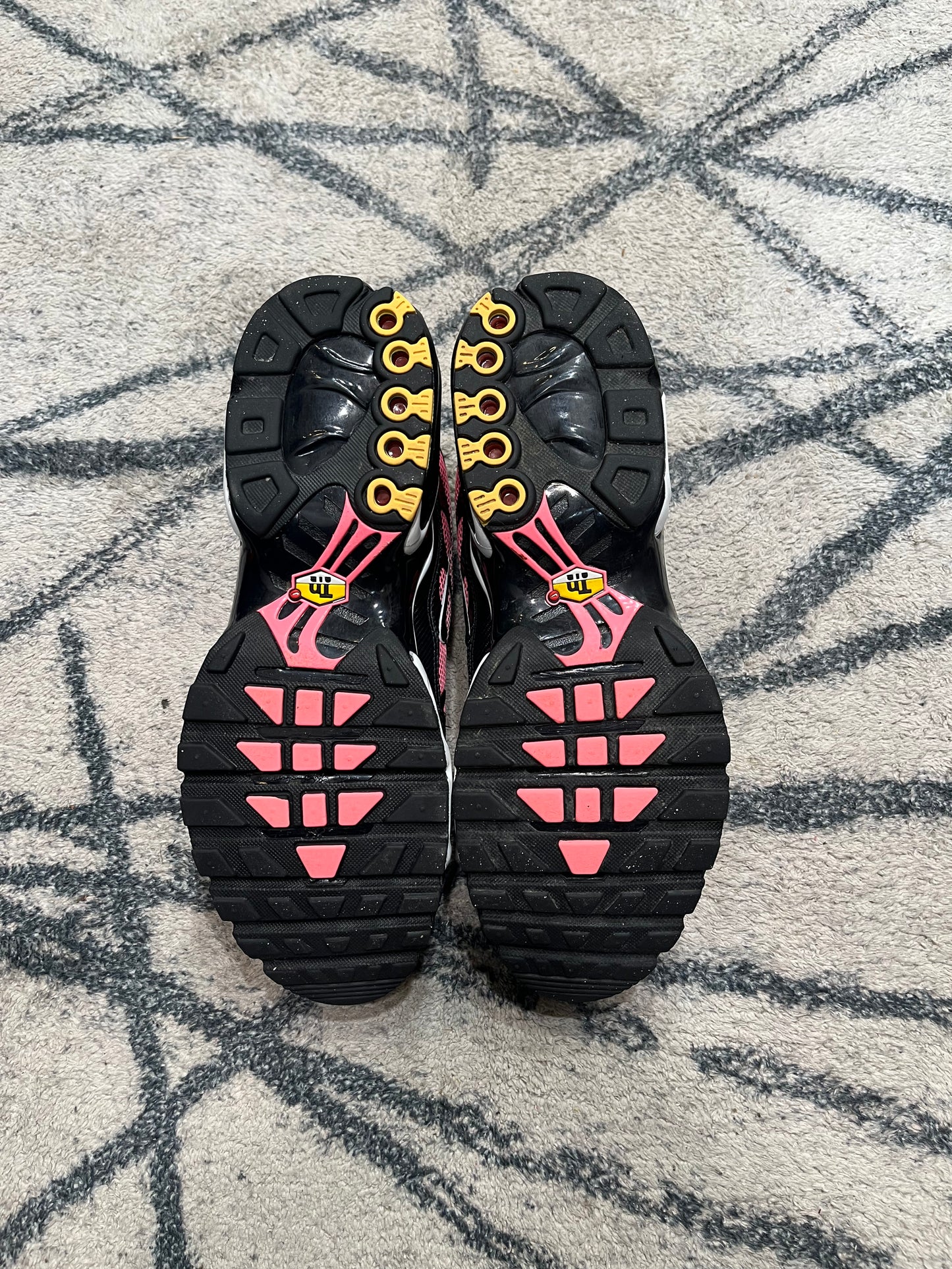 Nike Air Max Plus All Day
