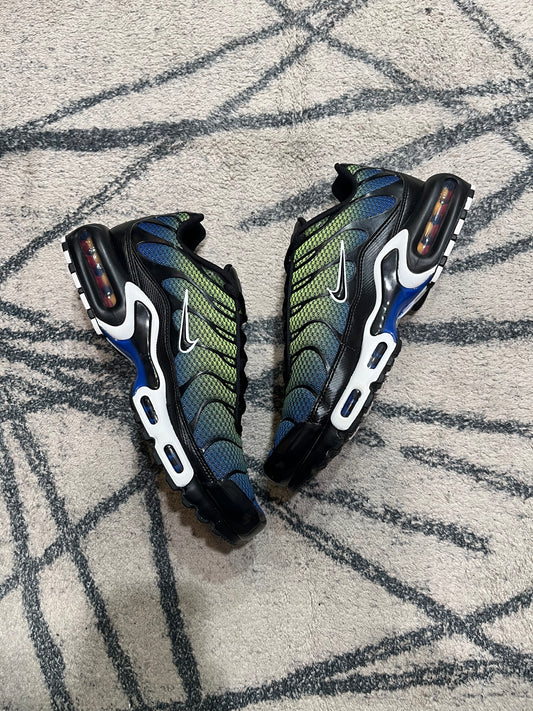 Nike Air Max Plus Blue Metallic Silver