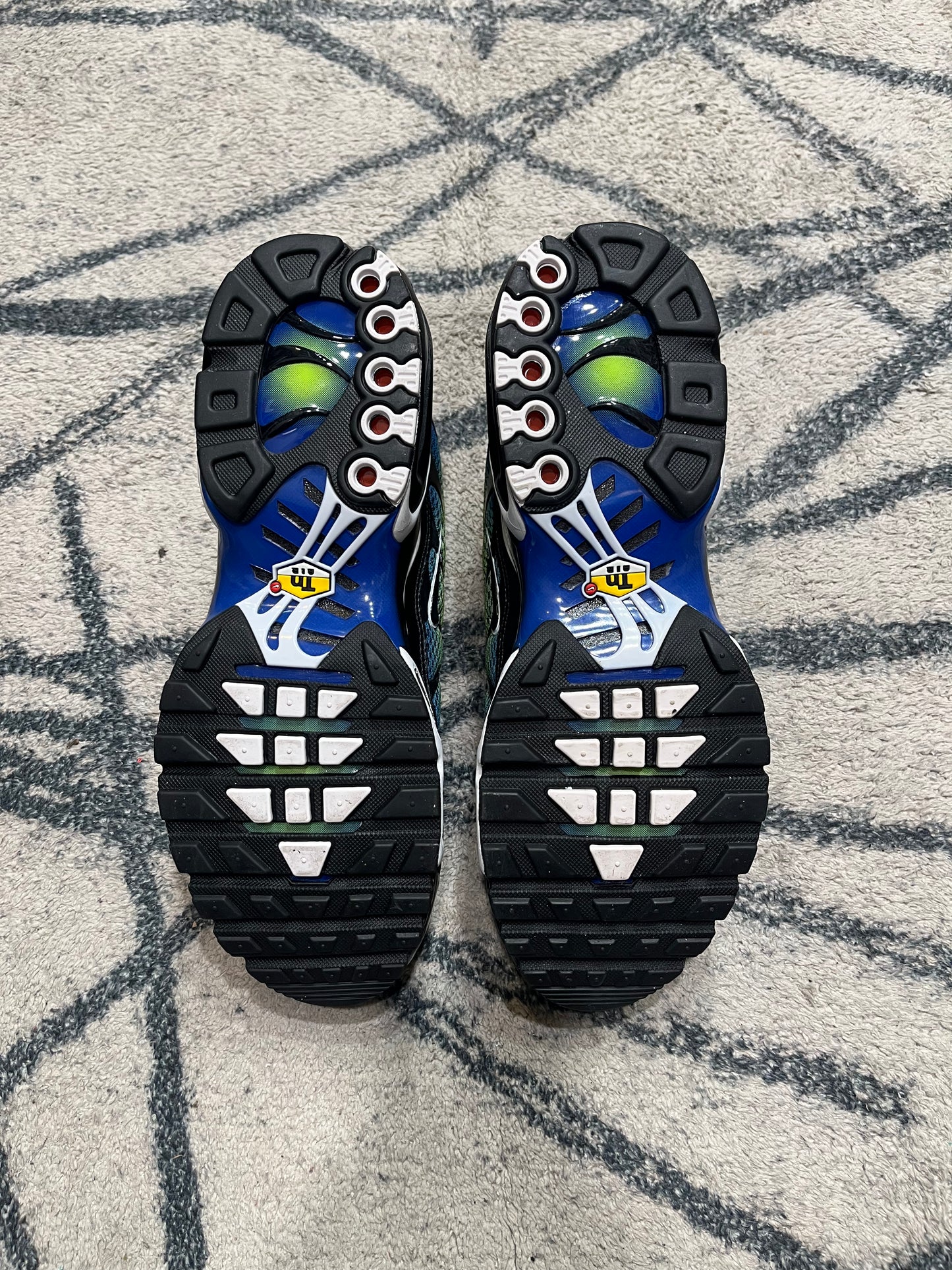 Nike Air Max Plus Blue Metallic Silver
