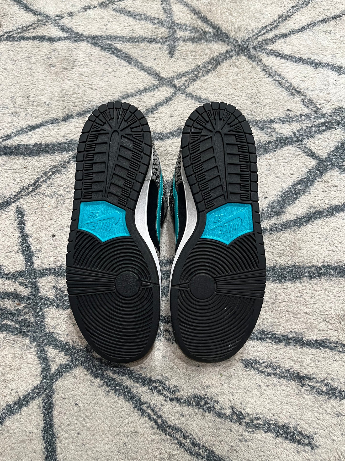 Nike Dunk SB Atmos Elephant
